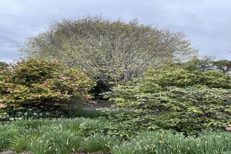 Photo of property in 162 Gladstone Road North, Mosgiel, 9024