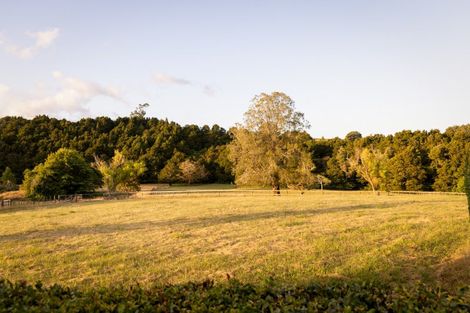Photo of property in 561 Whangaripo Valley Road, Whangaripo, Wellsford, 0972