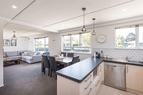 Photo of property in 22 Ruamahanga Crescent, Terrace End, Palmerston North, 4410