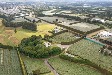 Photo of property in 122 No 2 Road, Te Puke, 3182