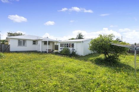 Photo of property in 20 Norfolk Street, Levin, 5510