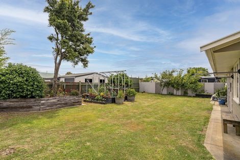 Photo of property in 51 Cologne Street, Martinborough, 5711