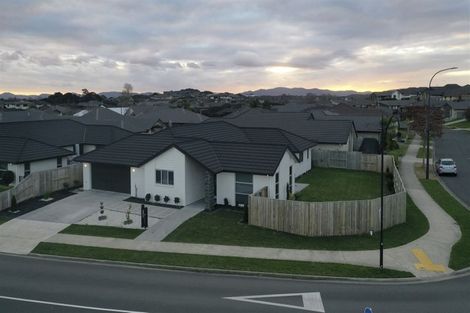 Photo of property in 43 Batten Drive, Flagstaff, Hamilton, 3210