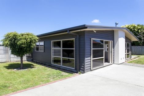 Photo of property in 36c Fitzroy Street, Terrace End, Palmerston North, 4410