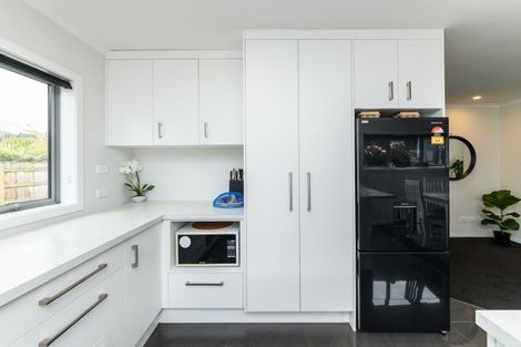 Photo of property in 83b Fitzroy Street, Terrace End, Palmerston North, 4410