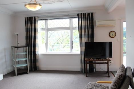 Photo of property in 113 Signal Hill Road, Opoho, Dunedin, 9010