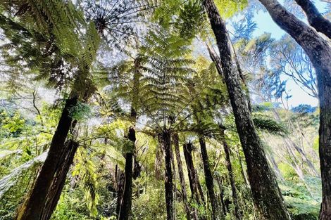 Photo of property in 600 Buffalo Road, Coromandel, 3506