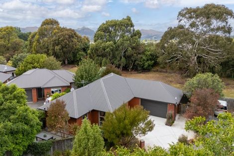 Photo of property in 1b Moule Street, Addington, Christchurch, 8024