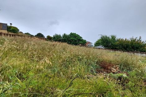 Photo of property in 8 Ohinemuri Place, Paeroa, 3600