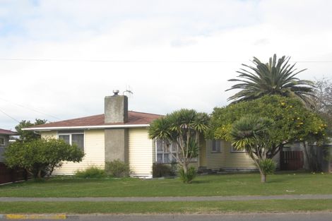 Photo of property in 62 Bledisloe Road, Maraenui, Napier, 4110