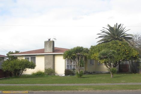 Photo of property in 62 Bledisloe Road, Maraenui, Napier, 4110