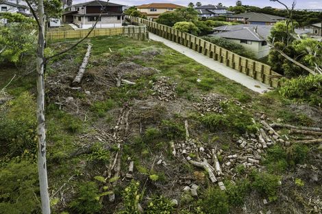 Photo of property in 34a Lorikeet Place, Unsworth Heights, Auckland, 0632