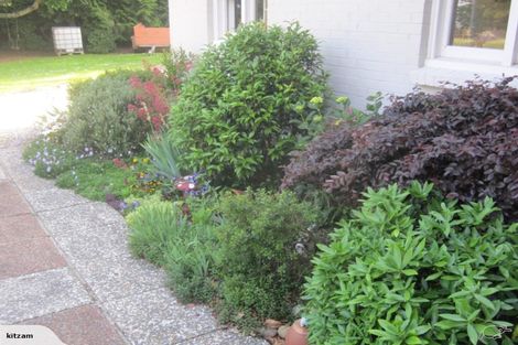 Photo of property in 205 Maunga Road, Pukeatua, 3880