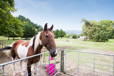 Photo of property in 72 Kuku Road, Pohangina, Ashhurst, 4884