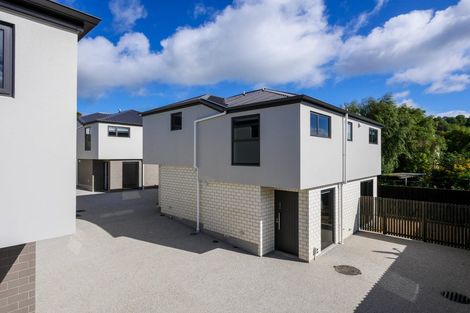 Photo of property in 27c Playfair Street, Caversham, Dunedin, 9012