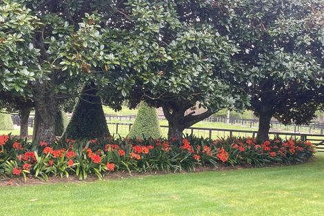 Photo of property in 45d Arana Drive, Karaka, Papakura, 2578