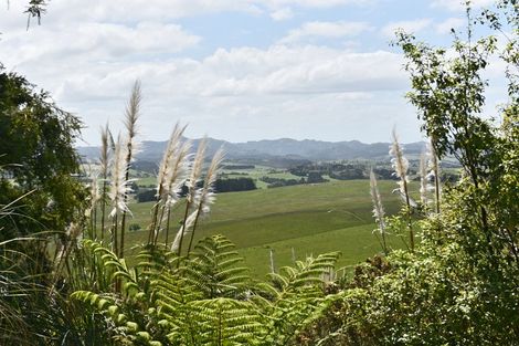 Photo of property in 184 Kauri Mountain Road, Taiharuru, Onerahi, 0192