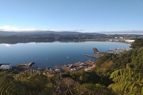 Photo of property in 59 Overtoun Terrace, Hataitai, Wellington, 6021