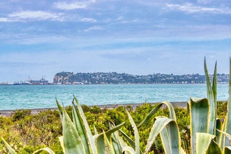 Photo of property in 1/382 Main Road North, Bay View, Napier, 4104