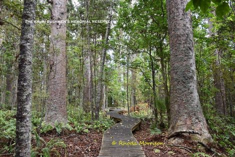 Photo of property in 69 Matakohe Wharf Road, Matakohe, 0593