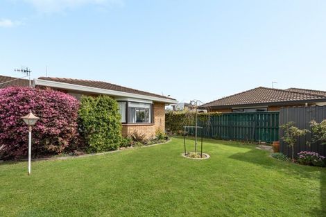 Photo of property in 49b Ridge Street, Otumoetai, Tauranga, 3110