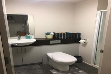 Photo of property in The Peak Apartments, 402/170 Taranaki Street, Te Aro, Wellington, 6011