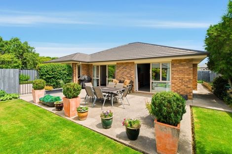 Photo of property in 13c Selwyn Street, Somerfield, Christchurch, 8024