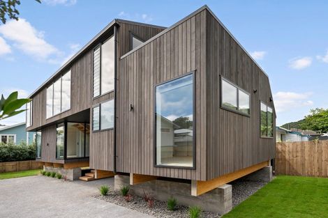 Photo of property in 45a Pukatea Street, Eastbourne, Lower Hutt, 5013