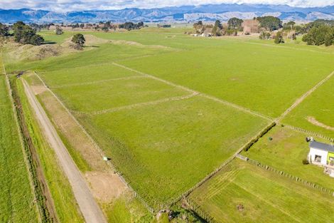 Photo of property in 130 Cummerfield Road, Foxton, 4891