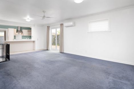 Photo of property in 3b North Street, Redwoodtown, Blenheim, 7201