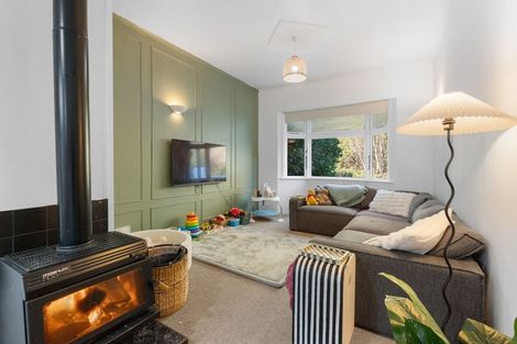 Photo of property in 141 Malvern Street, Woodhaugh, Dunedin, 9010