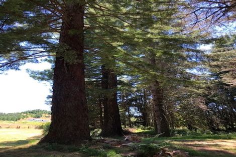 Photo of property in 1621 Kanakanaia Road, Whatatutu, Te Karaka, 4091