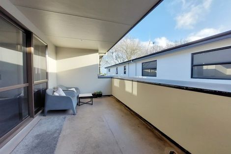 Photo of property in 42c Willoughby Street, Whitiora, Hamilton, 3200