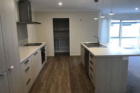 Photo of property in 16 Mclenaghan Road, Rolleston, 7614