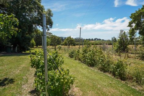 Photo of property in 333 Munro Road, Cheviot, 7382