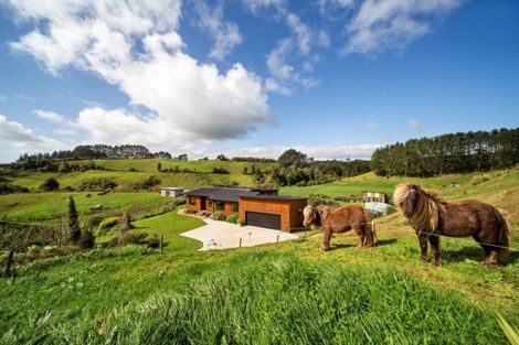 Photo of property in 63a Saxton Road, Upper Vogeltown, New Plymouth, 4371