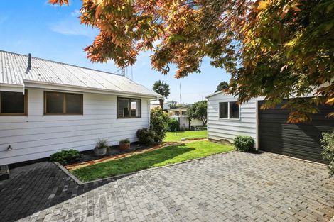 Photo of property in 59 Sinclair Terrace, Te Awamutu, 3800