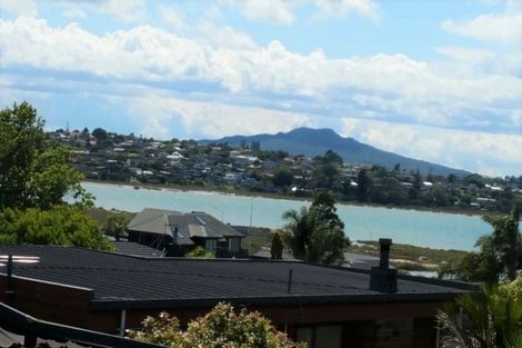 Photo of property in 132 Exmouth Road, Northcote, Auckland, 0627