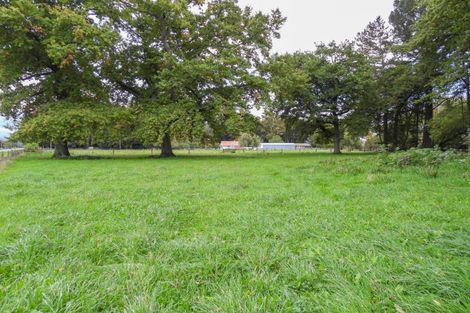 Photo of property in Ashfield, 410 Orari Station Road, Geraldine, 7992