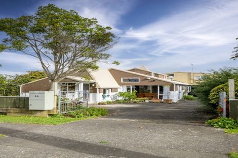 Photo of property in 86 Macarthur Street, Levin, 5510