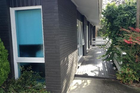 Photo of property in 52 Galaxy Drive, Mairangi Bay, Auckland, 0630