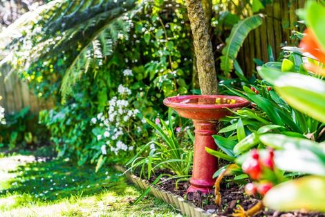 Photo of property in 8 Carina Crescent, Torbay, Auckland, 0630