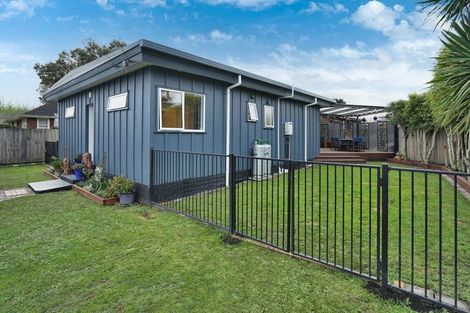 Photo of property in 138 Duke Street, Dinsdale, Hamilton, 3204