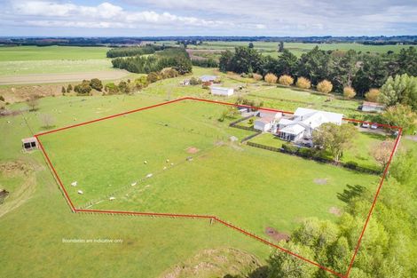 Photo of property in 283 Forlong Road, Colyton, Feilding, 4775