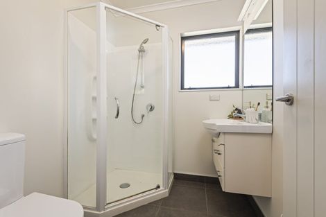 Photo of property in 605 Ferguson Street, Terrace End, Palmerston North, 4410