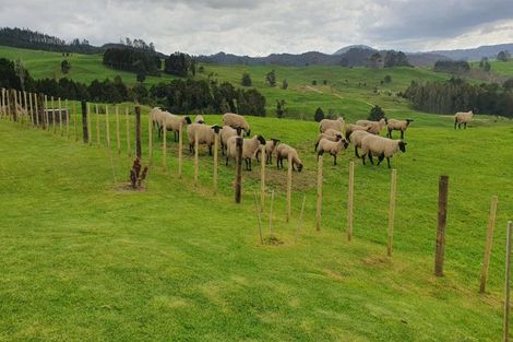 Photo of property in 4 Kendall Road, Maungakaramea, Whangarei, 0178