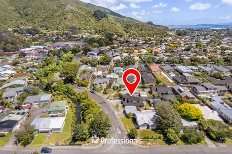 Photo of property in 295 Riverside Drive, Waterloo, Lower Hutt, 5011