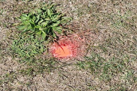 Photo of property in 161 Wairere Road, Wainui, 4010