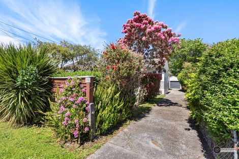Photo of property in 50 Lincoln Avenue, Epuni, Lower Hutt, 5011