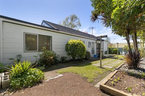 Photo of property in 141a Boucher Avenue, Te Puke, 3119